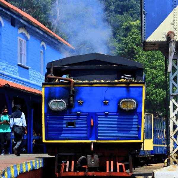 Ooty Toy Train (Timings, How To Book, Ticket Price, & Train Route) Weekendyaari Weekend