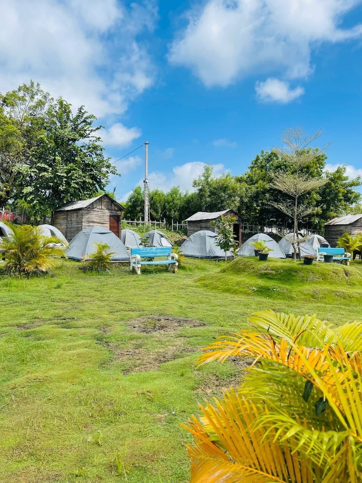Ananthagiri Hills Camping